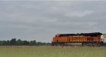 BNSF coal train DPU